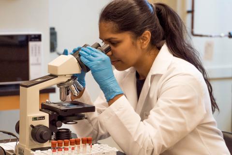 A woman with brown hair wearing a white coat and blue lab gloves observes samples with a microscope.