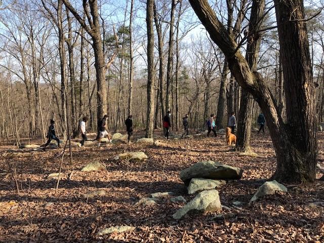 students hiking